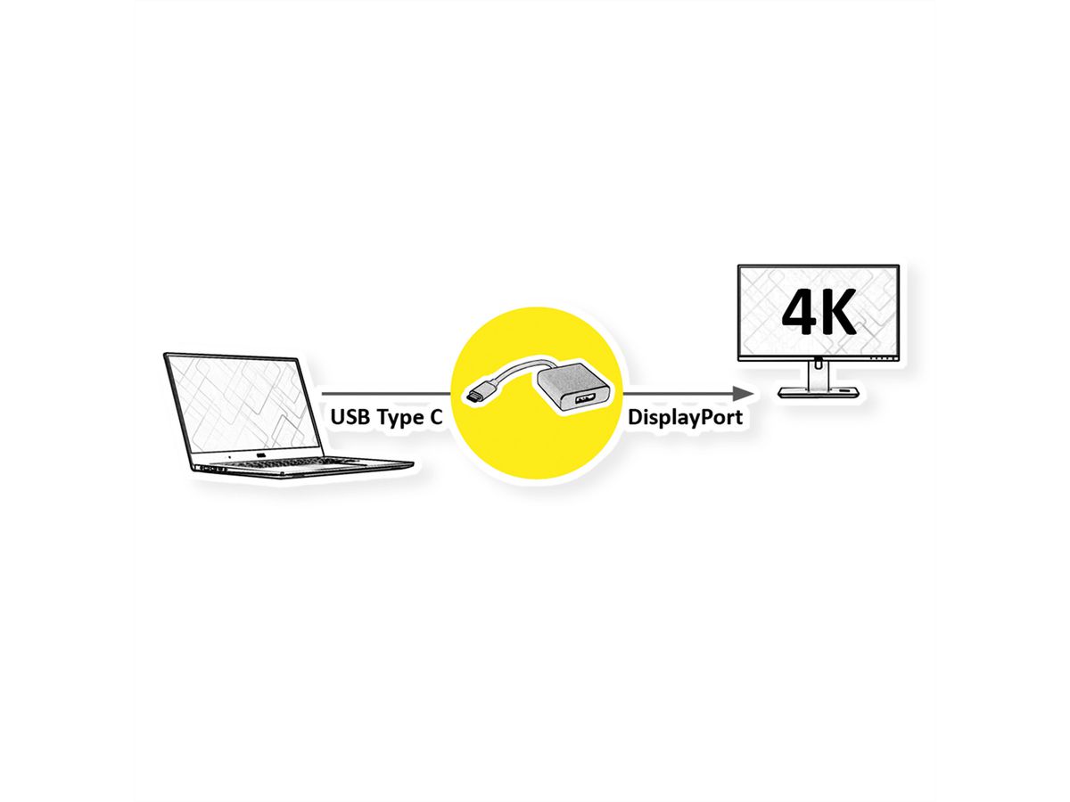 ROLINE Adaptateur Type C - DisplayPort, v1.2, M/F