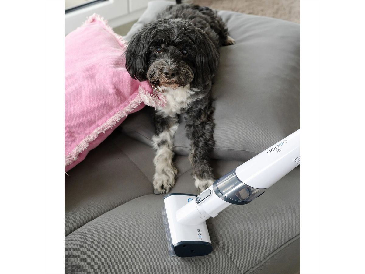 Hoogo Aspirateur à main H5 , 120W, moteur numérique