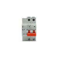 Shelly Leistungsschutzschalter  2CB C63, grau