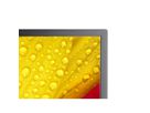 NEC Signage Display MultiSync M551-2, 55", UHD, 24/7, 500cd/m²