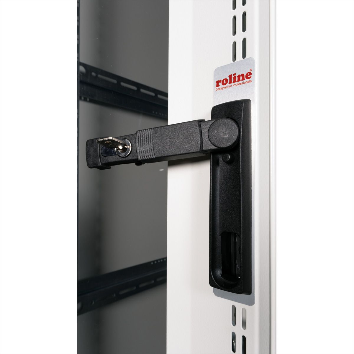 ROLINE 19-Zoll Serverschrank Pro 36 HE, 600x1000 BxT grau Plexiglas
