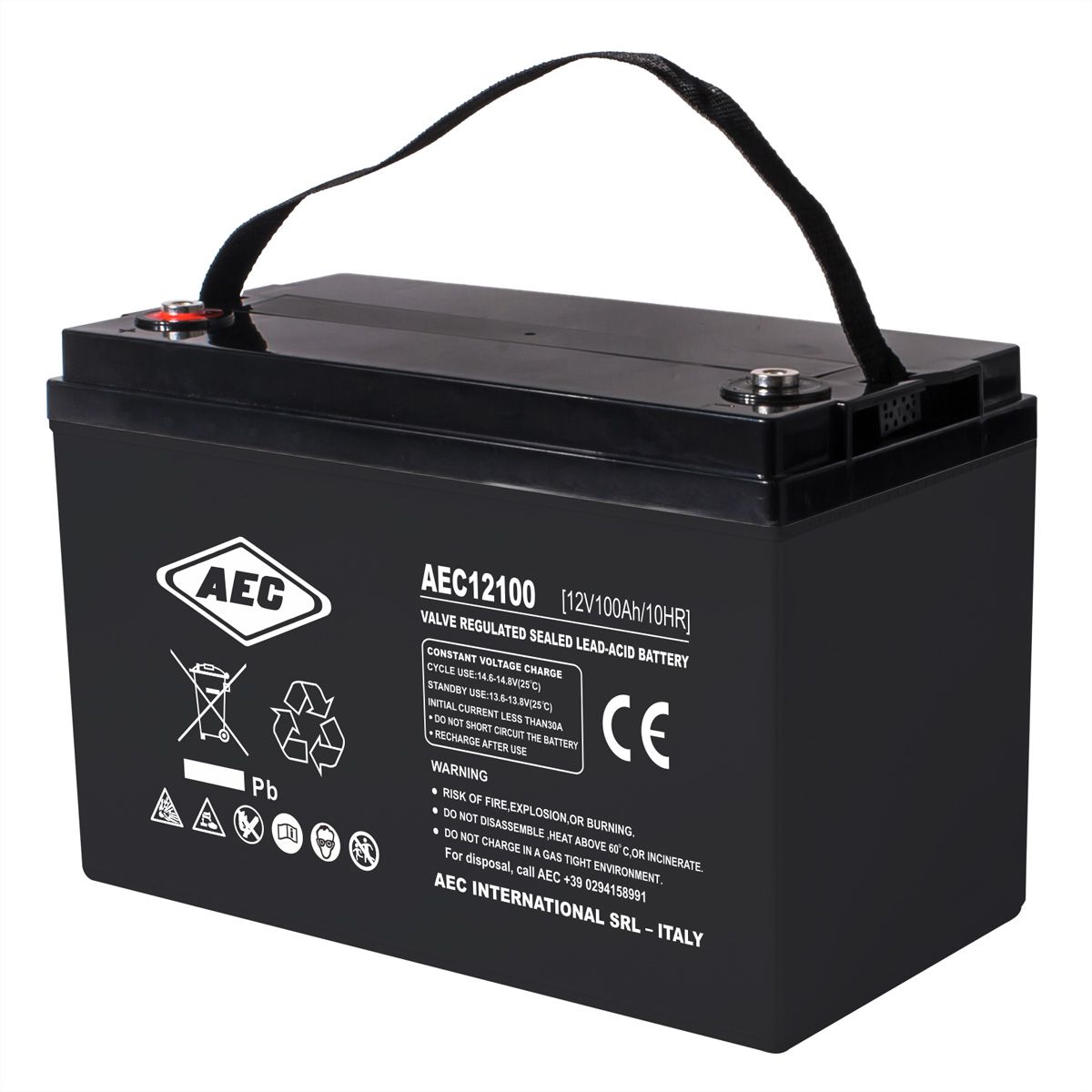 AEC 12VDC 100Ah Verschlossener, wartungsfreier Bleiakkumulator, Anschlüsse Female M8, Long Life, Ideal für USV Anlagen