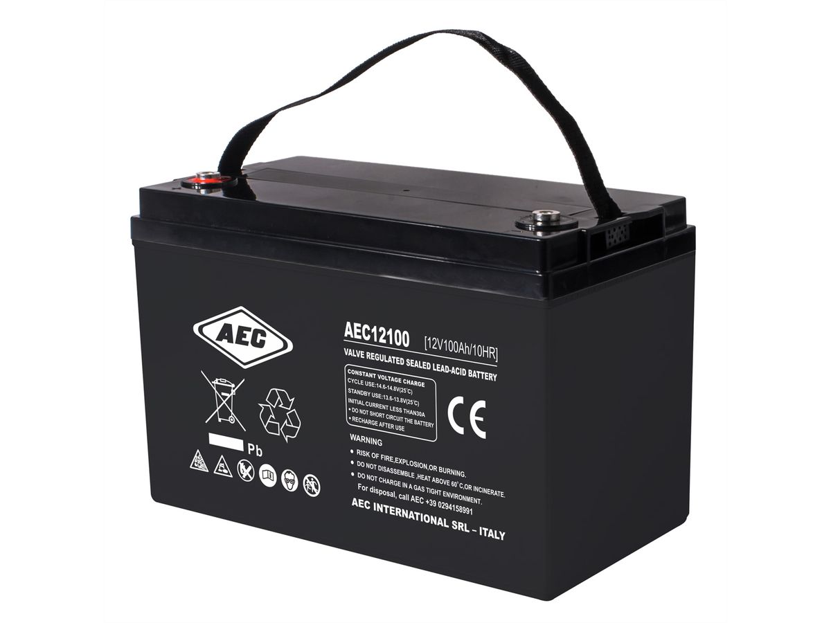 AEC 12VDC 100Ah Verschlossener, wartungsfreier Bleiakkumulator, Anschlüsse Female M8, Long Life, Ideal für USV Anlagen