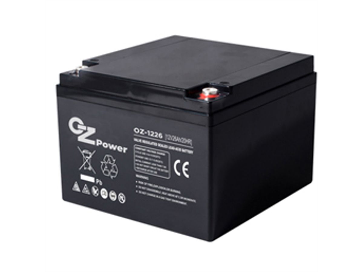 AEC 12VDC 24Ah Verschlossener, wartungsfreier Bleiakkumulator, Anschlüsse Female M5, Long Life, Ideal für USV Anlagen