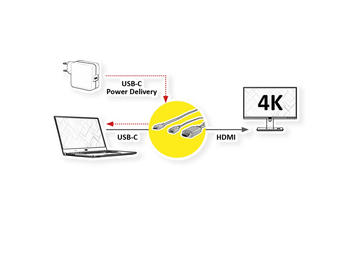 ROLINE Câble adaptateur type C - HDMI + USB C (PD), M/M, 1 m