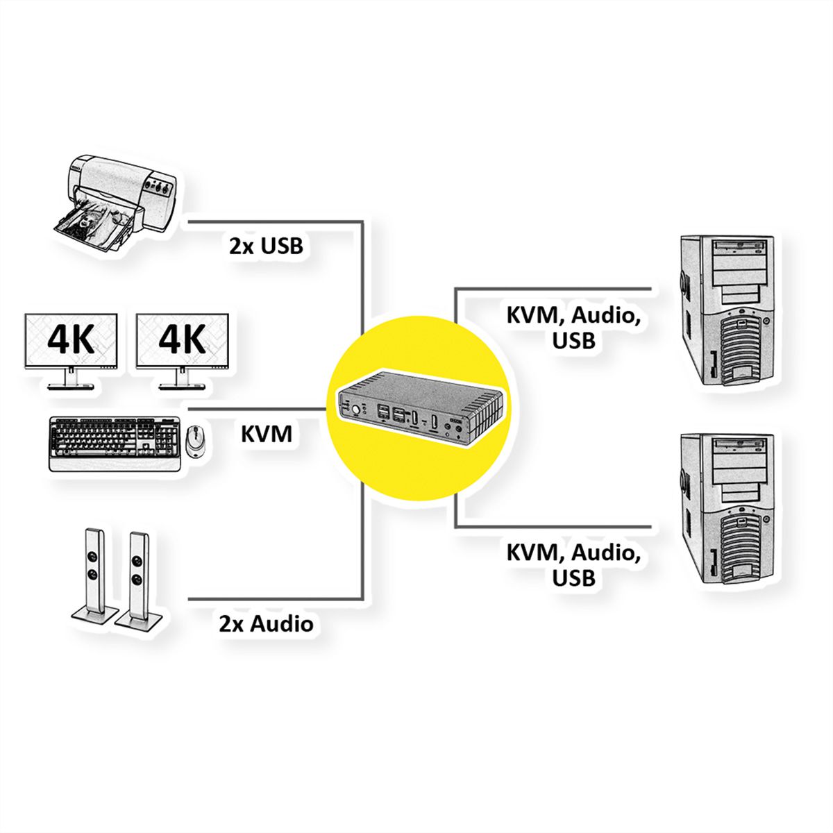 ROLINE Switch KVM Dual Head Audio, HDMI, 4K60, 1 Utilisateur - 2 PCs