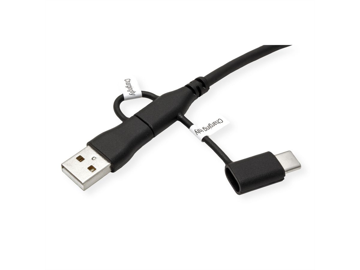 ROLINE Câble USB 2.0 type C, M/M, avec protecteur de données USB, type A+c, 1 m