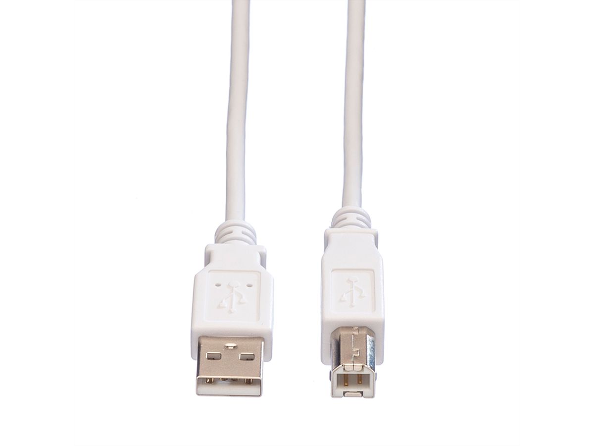 VALUE Câble USB 2.0 Type A-B, blanc, 0,8 m