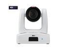 Aver PTZ-Kamera PTZ231 schwarz, 30x Zoom, 1080p60, schwarz