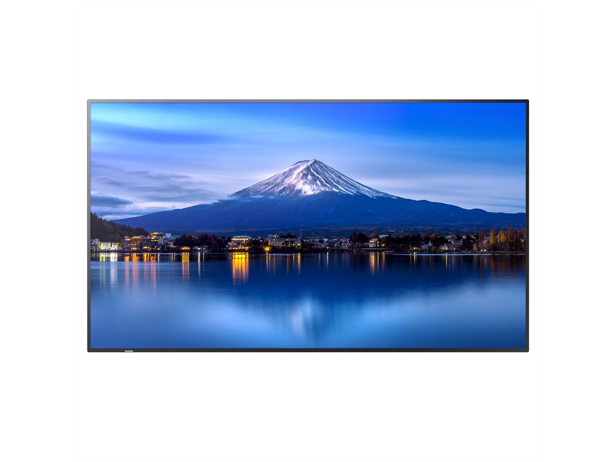 Sharp Signage Display MultiSync P656, 65", UHD, 24/7, 700cd/m²