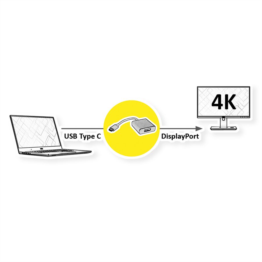 ROLINE Display Adapter USB Typ C - DisplayPort v1.2, ST/BU