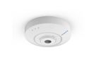 MOBOTIX Q71 Hemispheric Kamera 12MP (180°/360° Tag/Nacht)