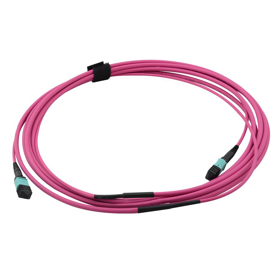 VALUE Câble MPO Trunk 50/125µm OM4, MPO / MPO, violet, 3 m