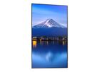 Sharp Signage Display MultiSync P556, 55", UHD, 24/7, 700cd/m²