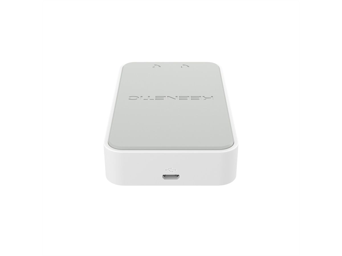 Keenetic Linear Zwei-Port-USB-Adapter für Analogtelefone