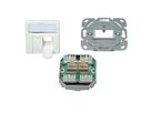 TELEGÄRTNER Dose AMJ45 UP/50 2x RJ-45 Cat.6A (Class EA), alpinweiss