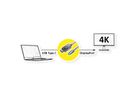 ROLINE GOLD Câble adaptateur USB-C - DisplayPort, v1.2, M/M, 1 m