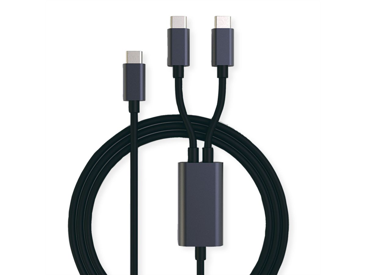 ROLINE Câble de chargement Y - Splitter, Type C vers 2x C, M/M, max. 100W, noir, 1,85 m