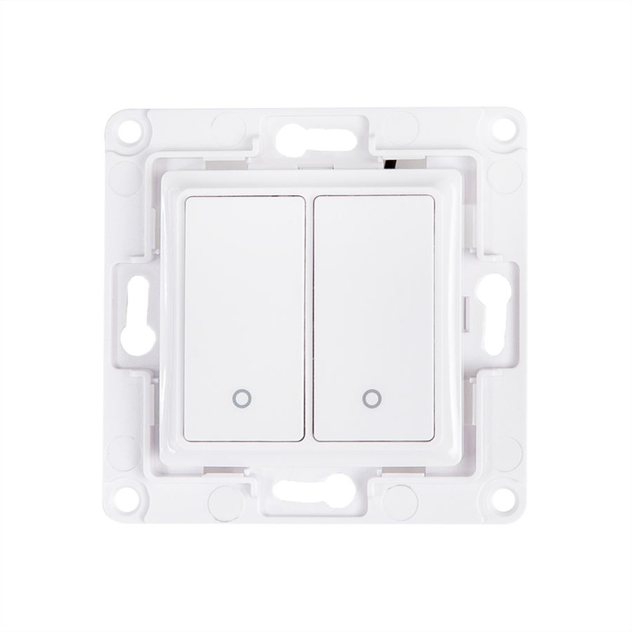 Shelly  Wall Switch encastré х2