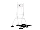 BenQ Rotating Rolling Stand MT01R, 55", 60kg, 400x400mm