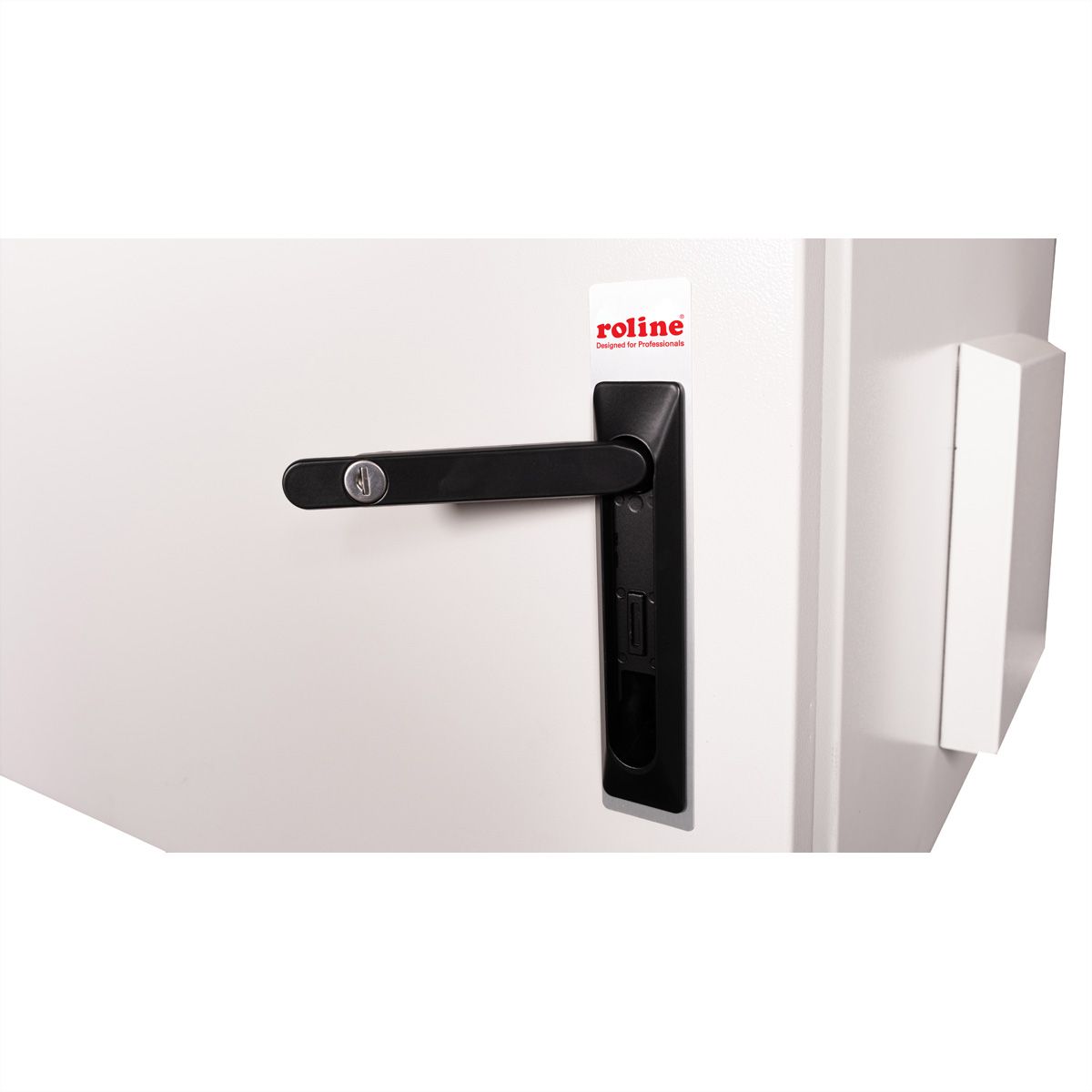 ROLINE 19-Zoll Wandgehäuse Pro 7 HE, 600x600 BxT IP55 outdoor grau