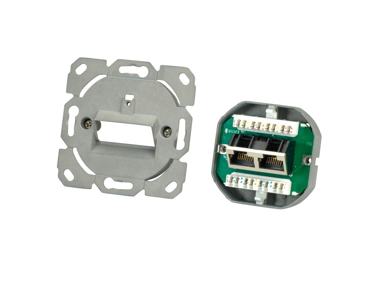 ROLINE Cat.6A (Class EA) Dose, 2x STP, Unterputz, weiss